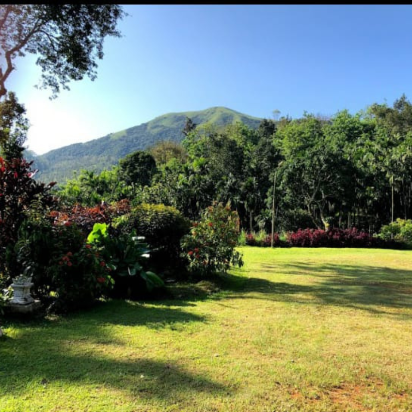 Untitled design (13)