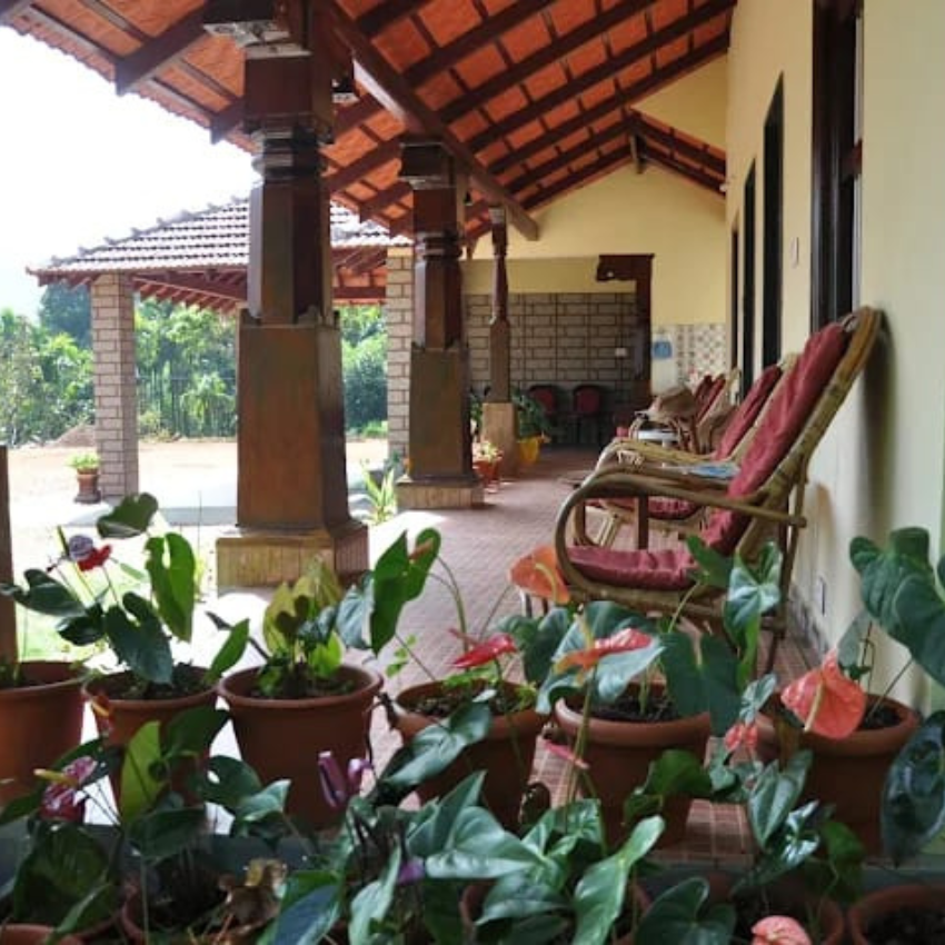 Untitled design (15)