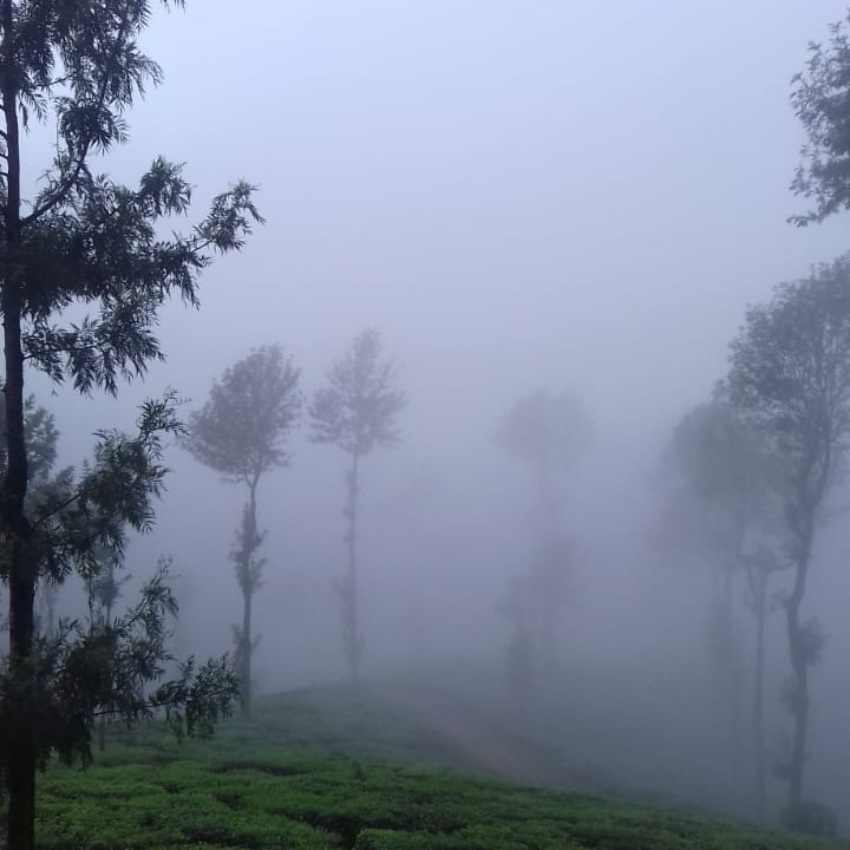 Untitled design (19)